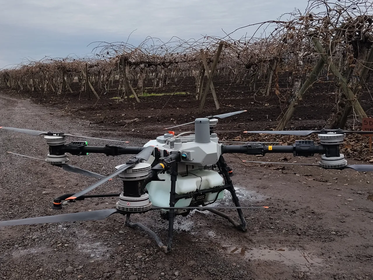 Dron agrícola en un parronal, listo para aplicar.